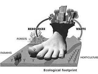 Definizione di Impronta Ecologica IMPRONTA ECOLOGICA Strumento di politica ambientale Indicatore che misura delle prestazioni ambientali Quantità di territorio (ettari) ecologicamente produttivo