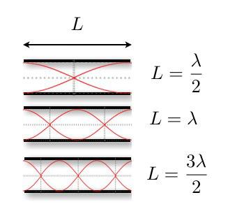 Onde stazionarie (V) Il modello di un onda sonora confinata in un tubo chiuso ha un corrispettivo ideale in un cilindro con estremità aperte.