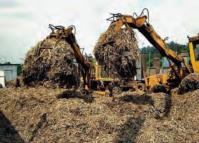 15 bustione. Quest ultimo viene estratto manualmente e scaricato tramite un paranco elettrico all interno di un apposito contenitore.