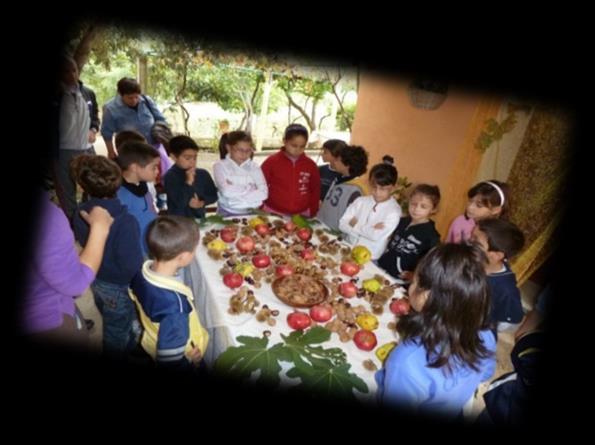 bambino Pranzo presso lo snack bar-caffetteria interno all Acquario Costo del pranzo variabile in base al menù scelto Laboratorio didattico Nel mondo della Biodiversità II a