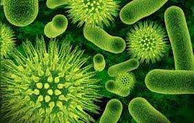 Controlli microbiologici L igiene negli ospedali, nella RSA eccriguarda diversi aspetti: la distribuzione dell aria, specialmente con la possibile diffusione di legionella (vedere sezione dedicata) e