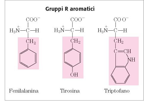 Classificazione degli