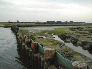 3. Obiettivi del lavoro - Laguna di Venezia caratterizzata da erosione diffusa per moto ondoso da barca e da vento.
