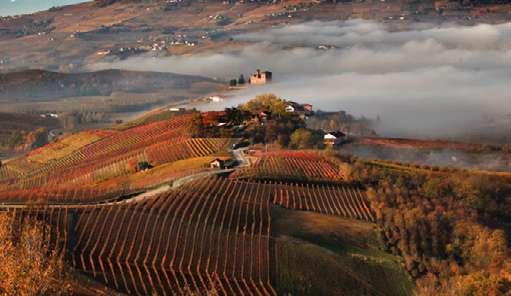 BAROLO Realizzato in Piemonte, e precisamente nella provincia di Cuneo, il Barolo è un vino di particolare qualità che si fregia della Denominazione di Origine Controllata e Garantita (DOCG) dal 1980.