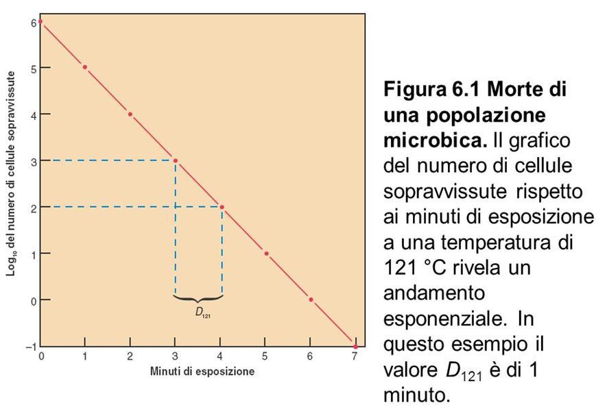 Tempo Il tempo impiegato nel trattamento termico, oltre alla temperatura usata, è il secondo parametro fondamentale.