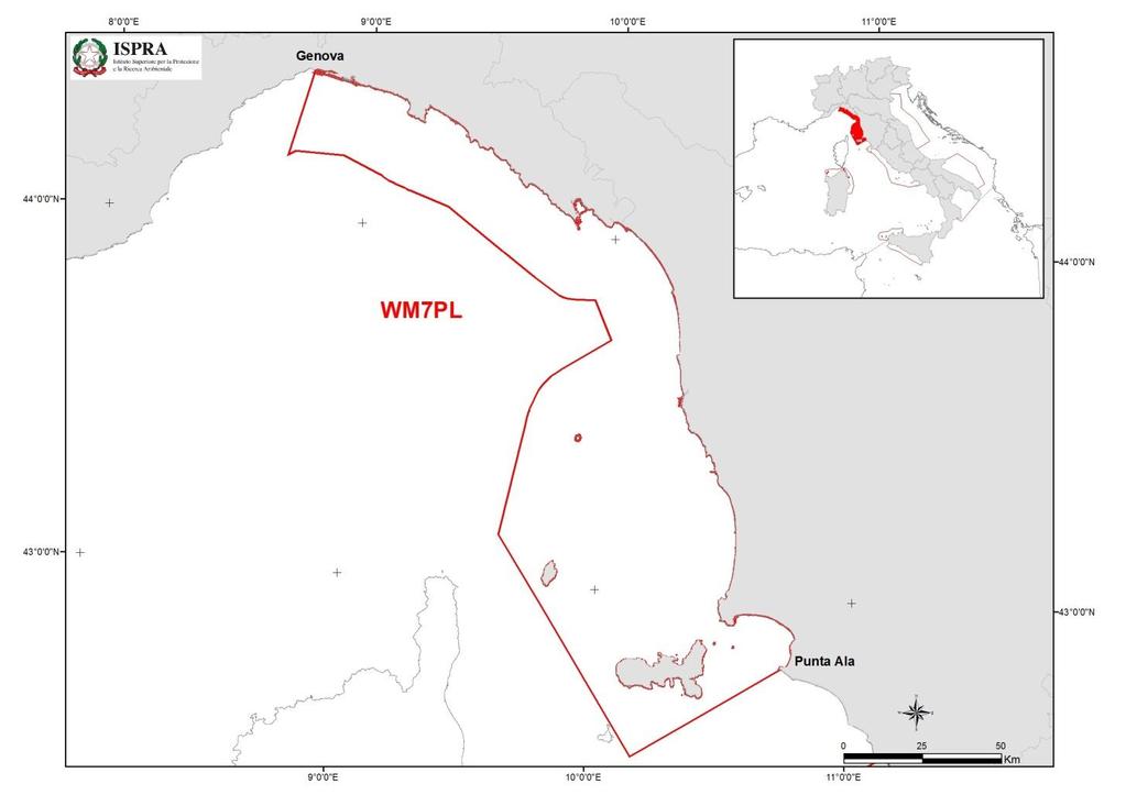 5.1 Perdita fisica 5.1.1 AREA DI VALUTAZIONE Nella sottoregione Mar Mediterraneo occidentale sono state scelte 4 assessment area o AA (WM5PL, WM6PL, WM7PL, WM8PL).