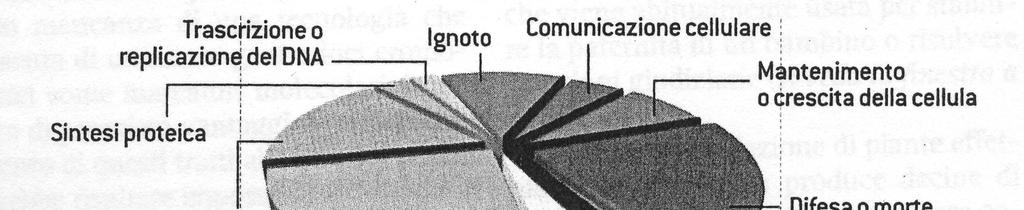 B) CORRELAZIONE TRA STRUTTURE DI