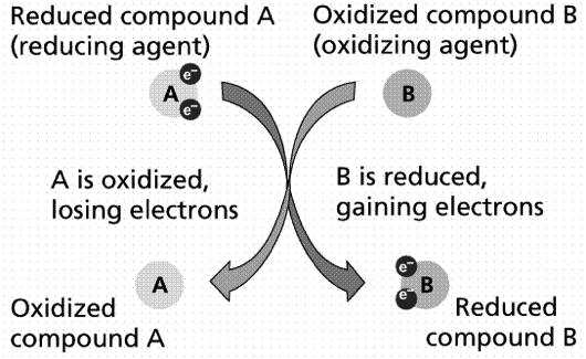 OSSIDAZIONE = perdita di elettroni RIDUZIONE = acquisto