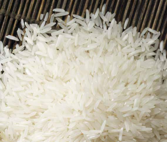 BASMATI Chicco lungo e cristallino caratterizzato dall aroma di legno di sandalo. Originario dell India e del Pakistan.