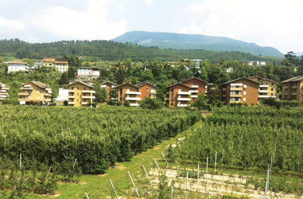 emergenze storico eded emergenze forestale reti e