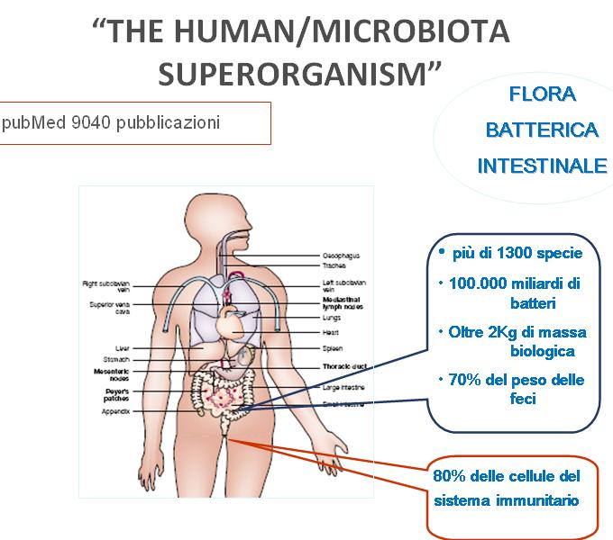 Microbioma sano Introduzione micronurienti