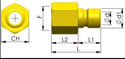 18,7 9,5 8 Innesti con filetto femmina SERIE MODEL F d d1 L L1 L2 CH EURO 6 TI6D-F1/8-O G1/8 6,5 9,5 24