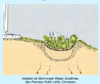 Rain garden