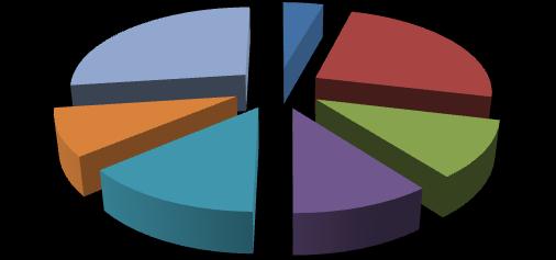 DAP VI 27% vigilanza del territorio - controlli totali su rifiuti DAP BL 4% DAP PD 24% DAP VR 9% DAP RO 11% DAP VE 14% DAP TV