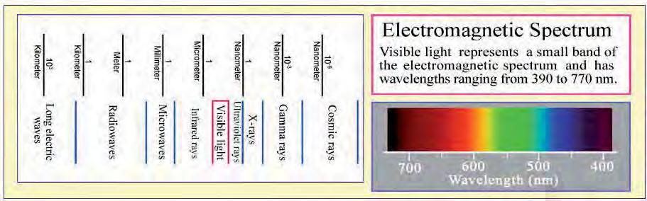 La luce visibile rappresenta una piccola porzione dello spettro elettromagnetico con lunghezze d onda da ~390 a ~770 nm Lunghezza d onda (nm) Y 1 nanometro = 1 miliardesimo di metro Direzione della