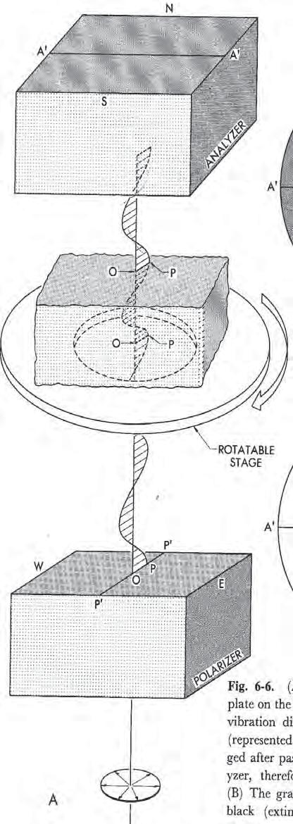 Nord North Analizzatore Fig. 6-6 Ovest East Polarizzatore Est West Sud Sou P Tavolino rotabile P Lampadina Passaggio della luce in un mezzo isotropo sul tavolino di un microscopio polarizzatore.