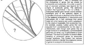 Ecologia modulo 5: biologia [ 21 ] Gli alberi filogenetici Cavalier Smith, T.