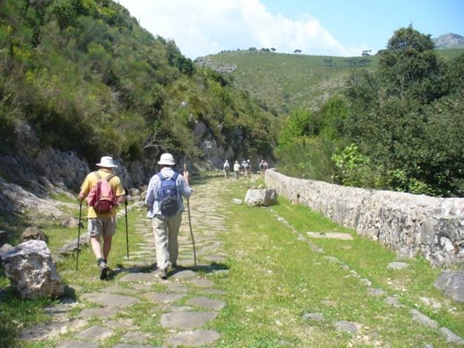 Cammino lungo la via