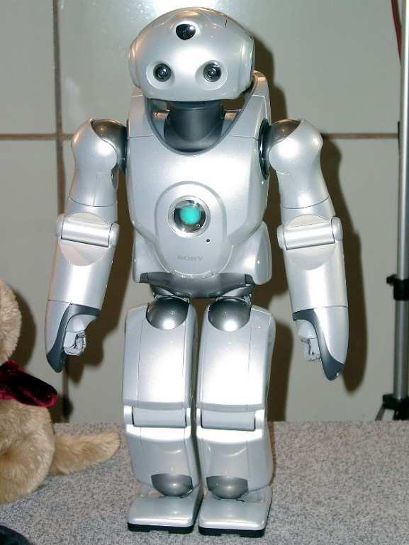 Social robotics «Per definizione un robot sociale dovrebbe comunicare ed interagire con gli umani o con altri esseri