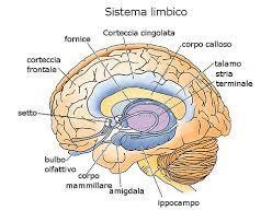 Riconoscere le emozioni Mentre la parte del