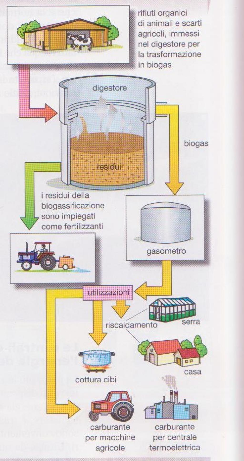 7. energia dalle biomasse Per biomassa si intende materia organica in gran parte di origine vegetale da cui si può produrre energia.