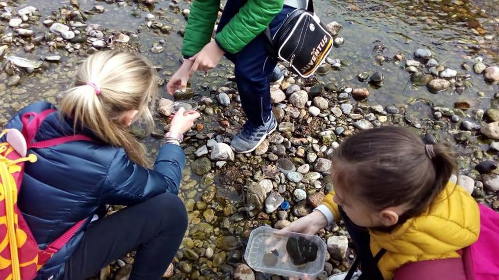 6. PROGETTO BOZZENTE Quinte Scuola Primaria Il principale corso d acqua del Parco è il torrente Bozzente, che nasce dalle colline moreniche dell Olgiatese, in Provincia di Como, e confluisce nel