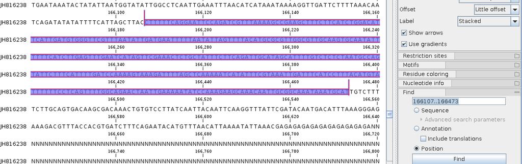 Posso aprire la sequenza della scaffold di interesse con un doppio click e annotare a mano i due esoni del gene 1, come mostrato sotto Dal menù a destra cerchiamo «Find», quindi selezioniamo