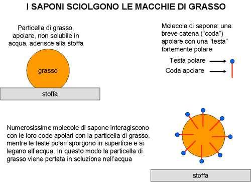 OME FUNZIONA IL SAPONE? Gli oggetti o le mani sporchi di grasso non si lavano con la sola acqua, ma dobbiamo usare il sapone. Perché?