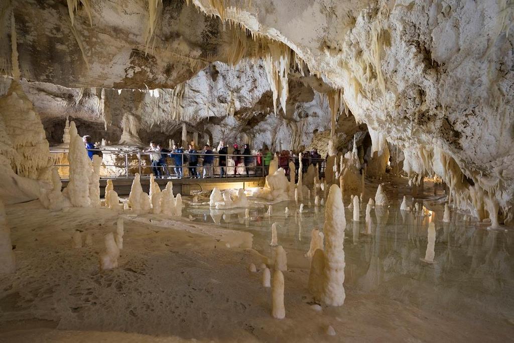 VISITA GUIDATA Un viaggio indimenticabile nell affascinante mondo sotterraneo di uno dei