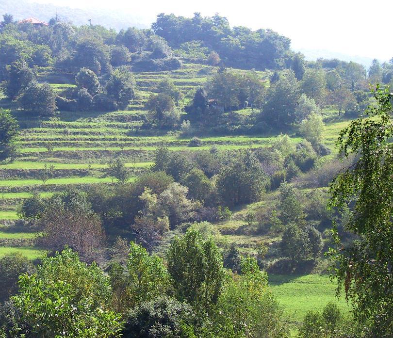 esistente (Palmaria) Riqualificare l ambito del Terrizzo