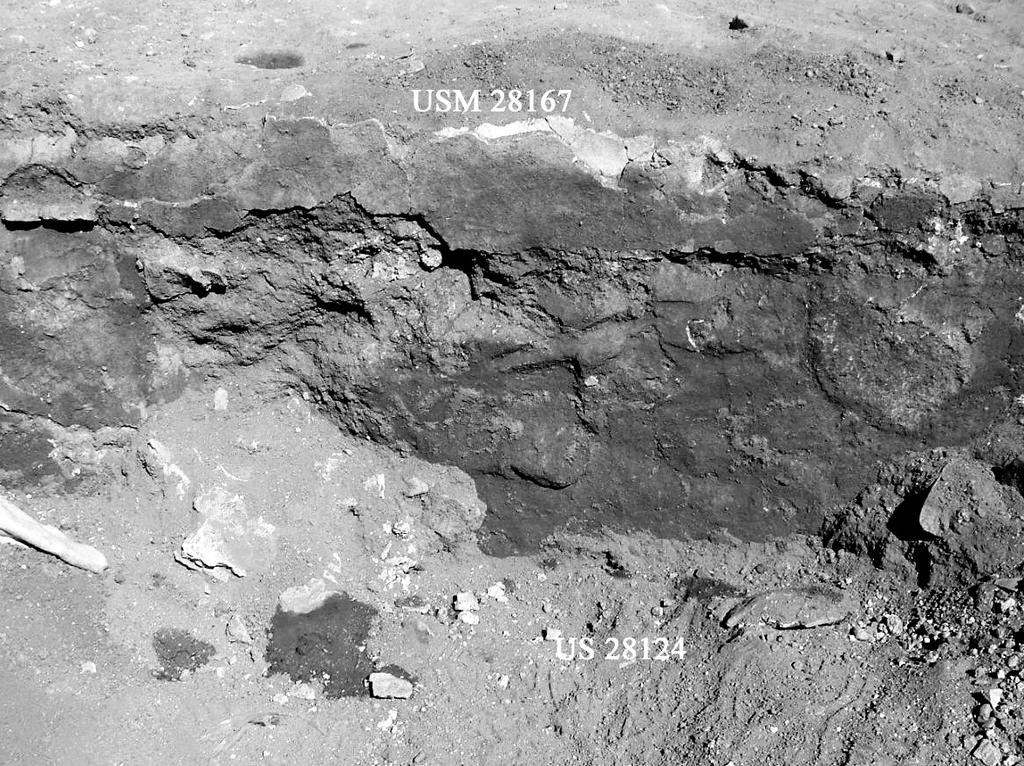 Figura 2 PT/R: US 28160, probabile crollo dell USM 28101. Figura 3 PT/R: muro N/S (USM 28167): particolare degli intonaci in fase di scavo.