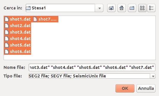 Il formato del file viene riconosciuto in funzione dell'estensione: SEG2 *.dat SEGY *.sgy SU *.