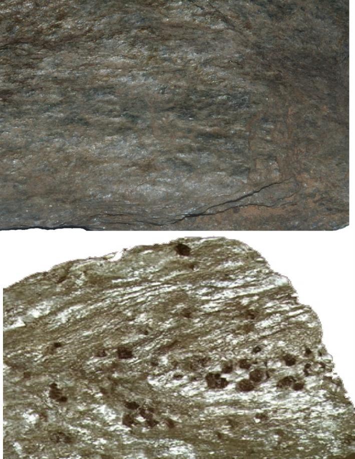 Esempi di rocce metamorfiche Dal metamorfismo di rocce argillose o argillo-sabbiose, si formano le filladi, formate da minutissimi cristalli di quarzo, mica e clorite (un silicato verde simile alla