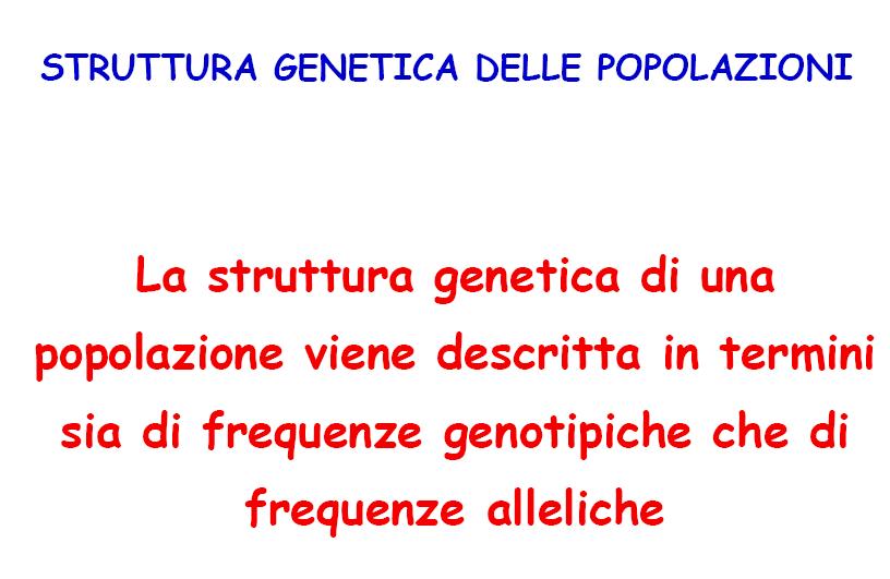 Vale a dire le proporzioni di ciascun allele sul