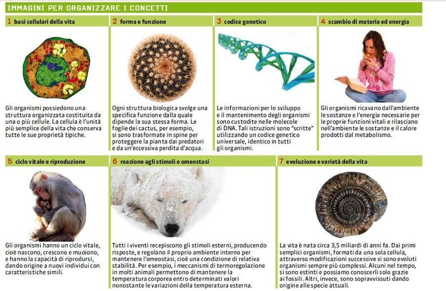 La biologia è riconducibile ad