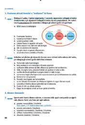 le competenze chiave Il manuale è in perfetta congruenza con le competenze