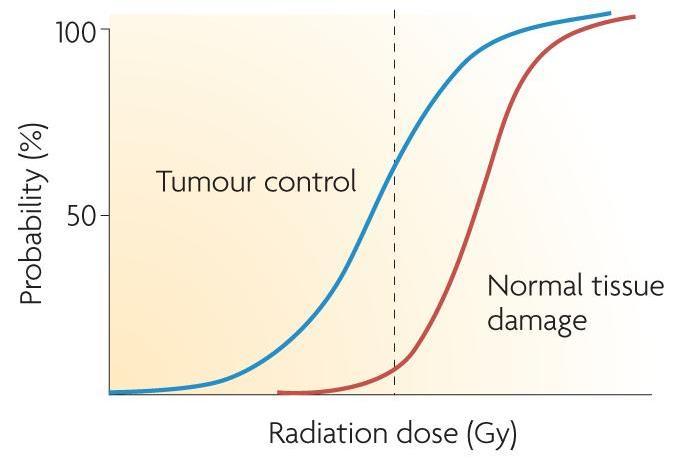 1 Introduzione 1.1 Radioterapia convenzionale La radioterapia è un particolare tipo di terapia fisica che utilizza le radiazioni ionizzanti per il trattamento di patologie tumorali.