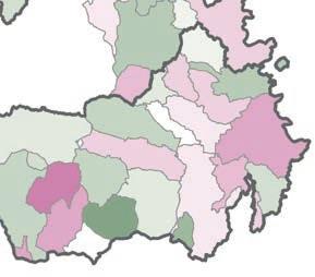 I Tumori in - Rapporto 218 Tumori dello stomaco Tumori dello stomaco Numero casi/anno 36 28 % sul totale dei tumori 3,9 6,7 Numero casi totali 181 138 Tasso grezzo (per 1.