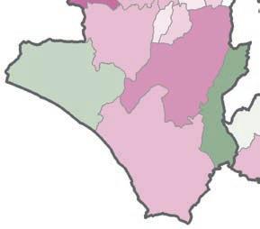 I Tumori in - Rapporto 218 Tumori delle vie biliari Tumori delle vie biliari Numero casi/anno 13 1 % sul totale dei tumori 1,4 2,4 Numero casi totali 64 49 Tasso grezzo (per 1.