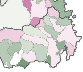 I Tumori in - Rapporto 218 Tumori del rene Tumori del rene Numero casi/anno 2 8 % sul totale dei tumori 2,2 2 Numero casi totali 99 42 Tasso grezzo (per 1.) 12,4 5,3 Tasso standardizzato (per 1.