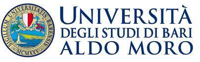 D.R. n. 3019 IL RETTORE lo statuto dell Università degli Studi di Bari Aldo Moro; il D.L.gs: 196/2003 e s.m.