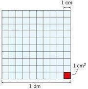 Schema di sintesi Il quadratino piccolo ottenuto dalla divisione del dm² in