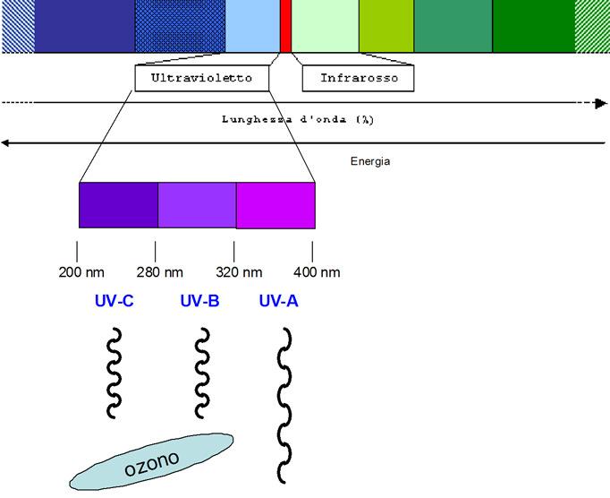04/04/03 UV e ozono UV-C: 00-80 nm Sterilizzazione UV-B: 80-35 nm Eritema cutaneo UV-A: 35-380 nm Pigmentazione cutanea A causa dell'atomo "in più" l'ozono è una specie estremamente reattiva: l'ozono