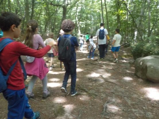 Accanto a questa, che per noi è attività prioritaria, gestiamo il Camping Natura, struttura con una forte connotazione eco compatibile dove la clientela ha l occasione di vivere una vacanza all