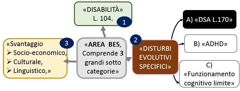 Schema 1 PROCEDURA PER L INDIVIDUAZIONE DEGLI STUDENTI CON BES.