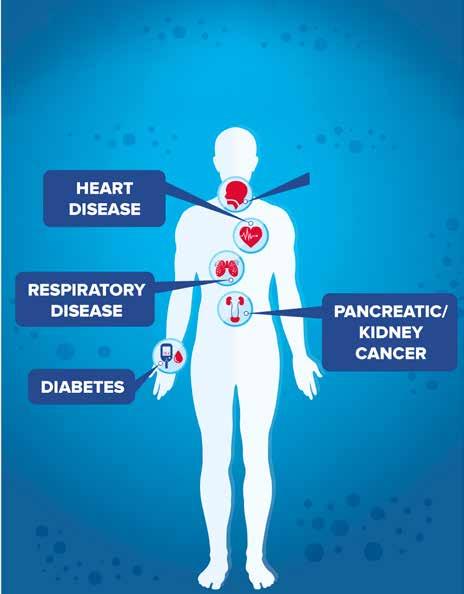 Mantenere la bocca sana è fondamentale per rimanere in salute NON SI PUO ISOLARE LA BOCCA MALATTIE CARDIACHE 17.