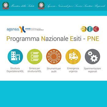 IL SITO WEB Il sito web del Programma Nazionale Esiti è organizzato in 5 sezioni: Struttura