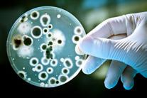 ROTHEN presenta una serie completa di trattamenti con antibatterico inalizzata alla prevenzione ed eliminazione della proliferazione batterica.