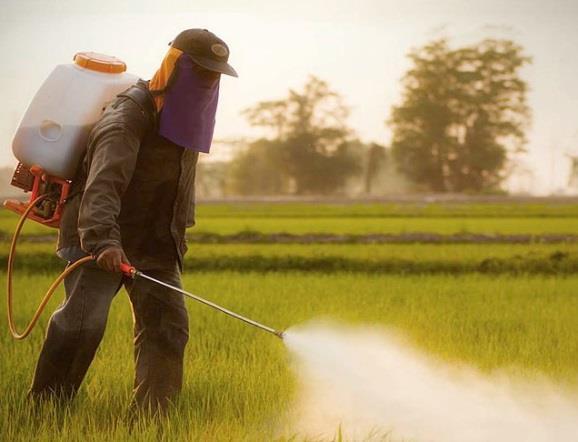 minaccia dei pesticidi all ambiente Ecco come l agricoltura industriale sta facendo ammalare