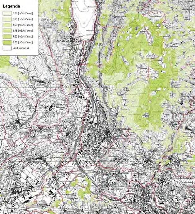 Tabella 35 Superfici boschive in riferimento alla categoria boschiva e alle aree geografiche analizzate.